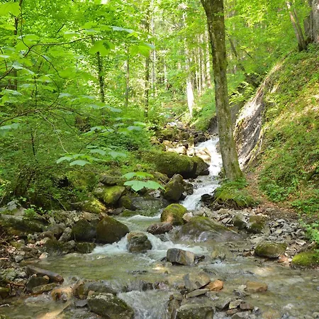 Vogelnest Apartman Oy-Mittelberg