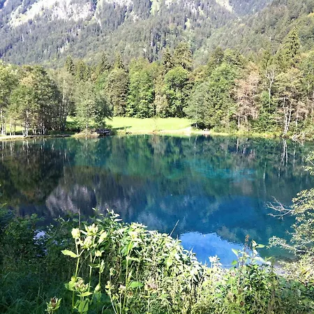 Vogelnest Apartman Oy-Mittelberg