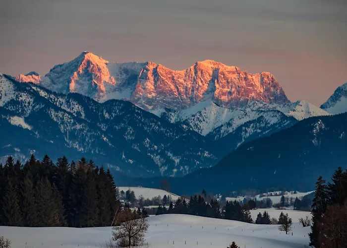 Vogelnest Oy-Mittelberg