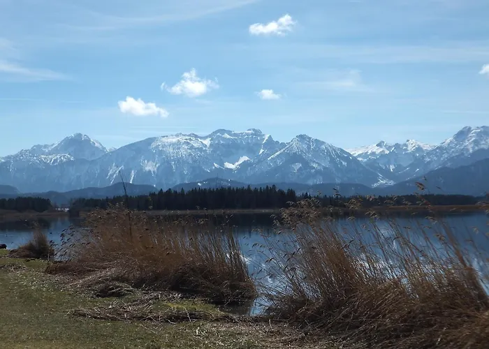Vogelnest Oy-Mittelberg