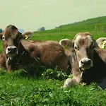 شقة Vogelnest اوي ميتبرغ