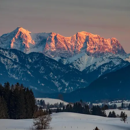 Vogelnest Oy-Mittelberg