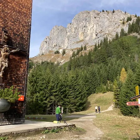 Vogelnest Daire Oy-Mittelberg