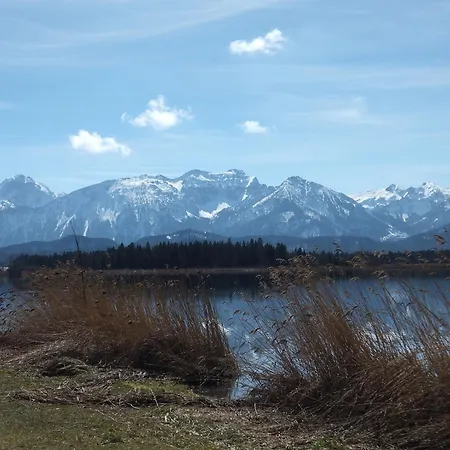 Vogelnest Oy-Mittelberg