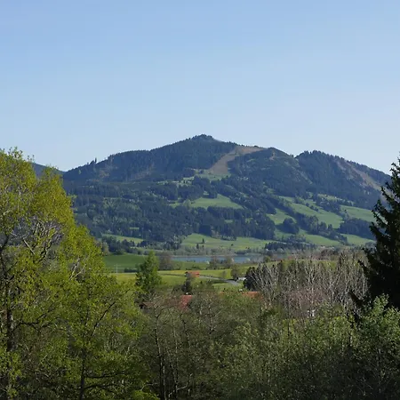 Vogelnest *